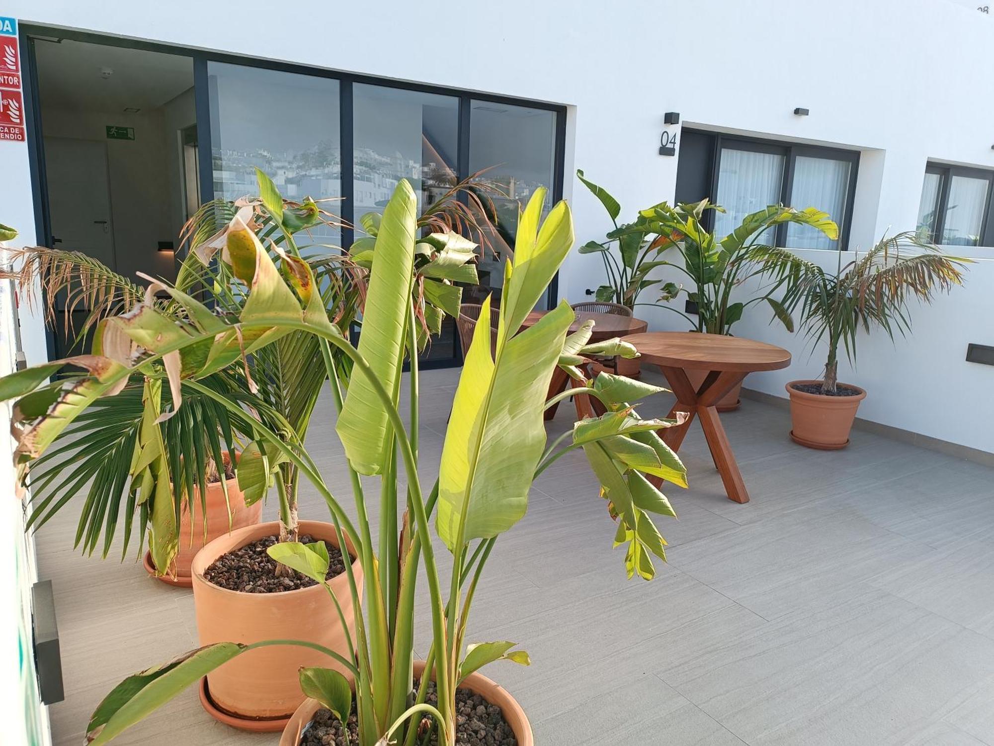 Hotel Apartamentos Hamus Коніль-де-ла-Фронтера Екстер'єр фото